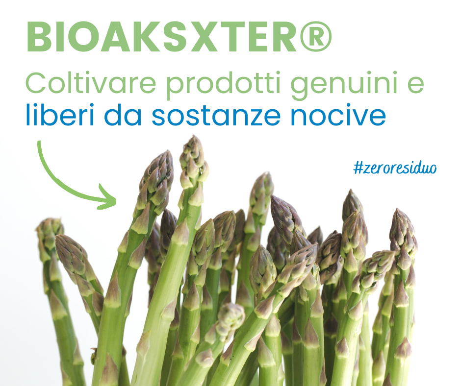 BioAksxter-coltivare-prodotti-agricoli-genuini-e-liberi-da-sostanze-nocive.png